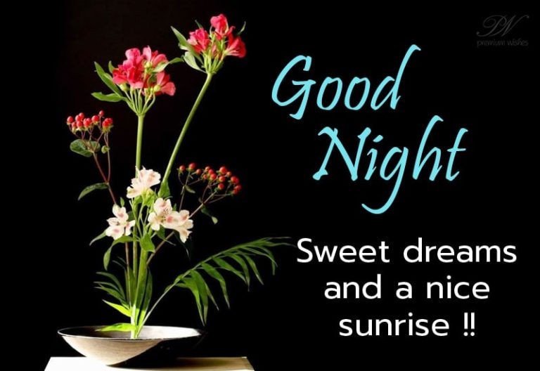 Good Night Wishes