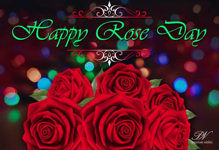 Happy Rose Day 2020 Happy Rose Day 2020