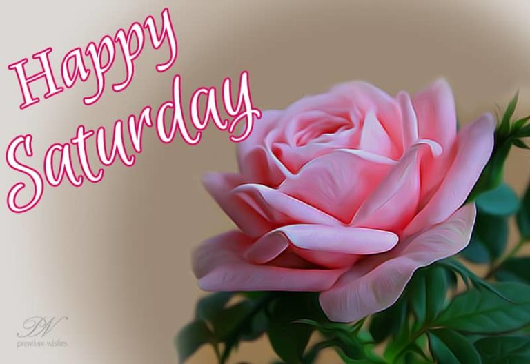 Happy Saturday Friends – Share the rose to start your valentine week Happy Saturday Friends – Share the rose to start your valentine week