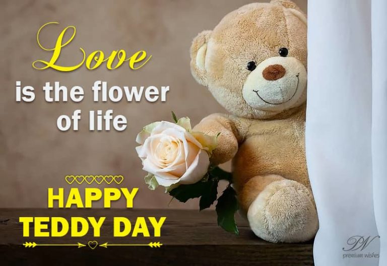 Happy Teddy Day 2020 – Love is the flower of life Happy Teddy Day 2020 – Love is the flower of life