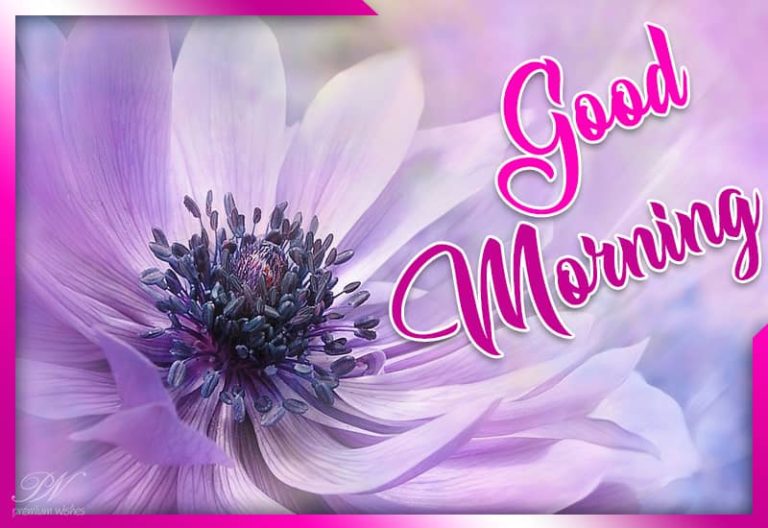 Good Morning – Friends Be and Stay Safe