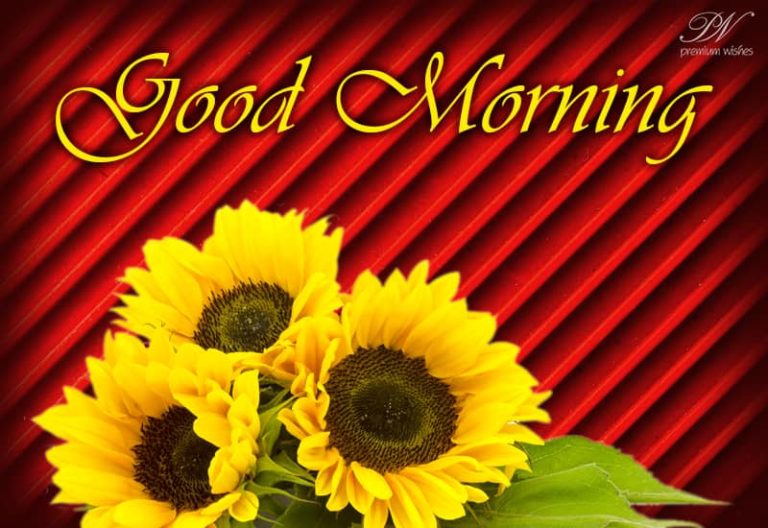 Good Morning – Stay Safe and Healthy