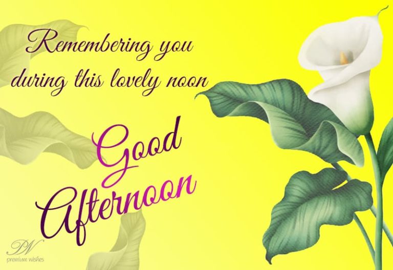 Good Afternoon Wishes