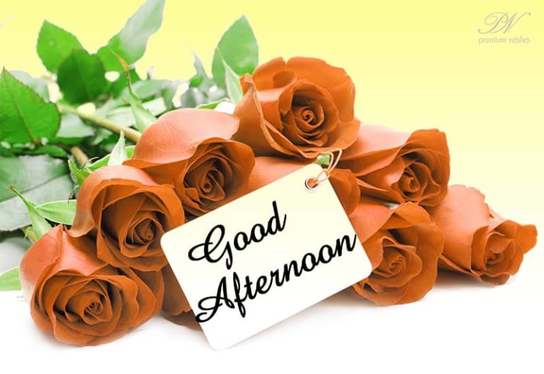 Good Afternoon Wishes