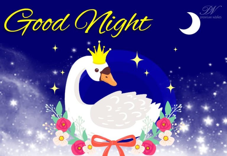 Good Night Wishes