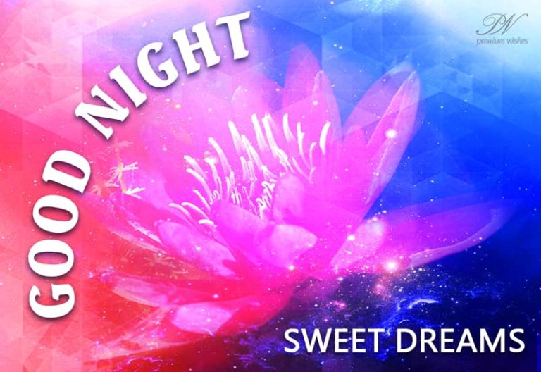 Good Night Wishes