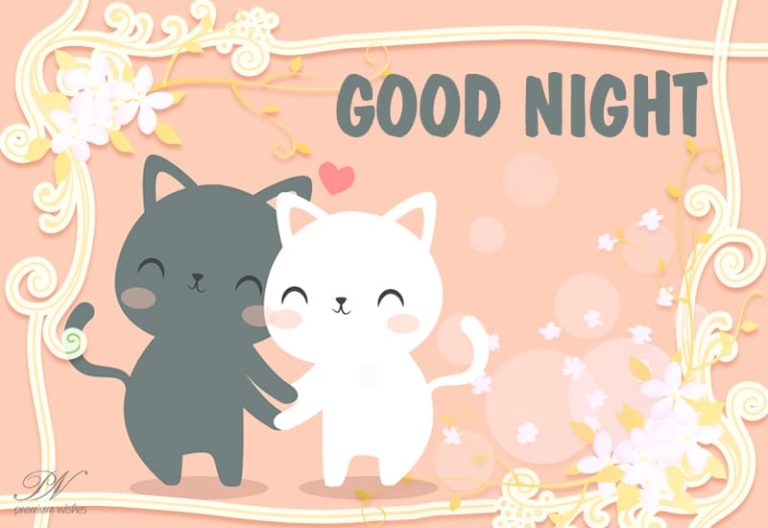 Good Night Wishes