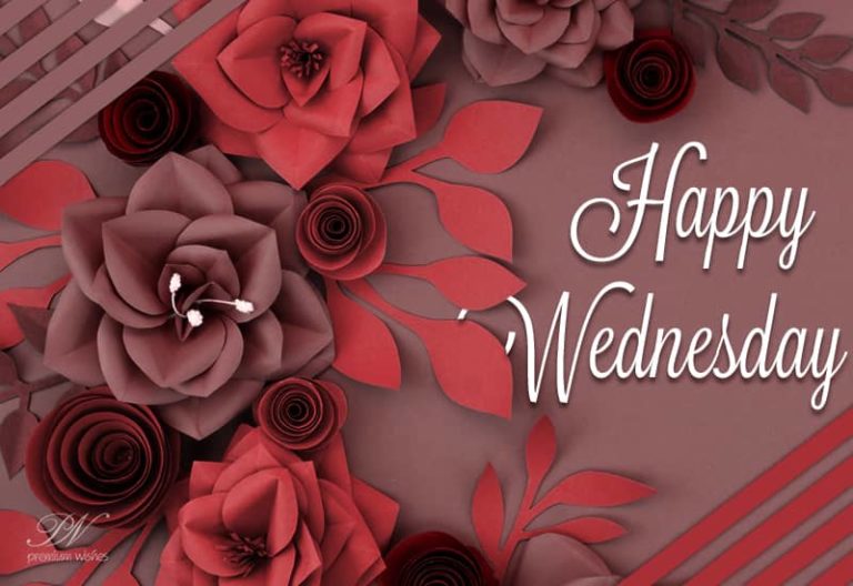 Have a nice day – Happy Wednesday Friends