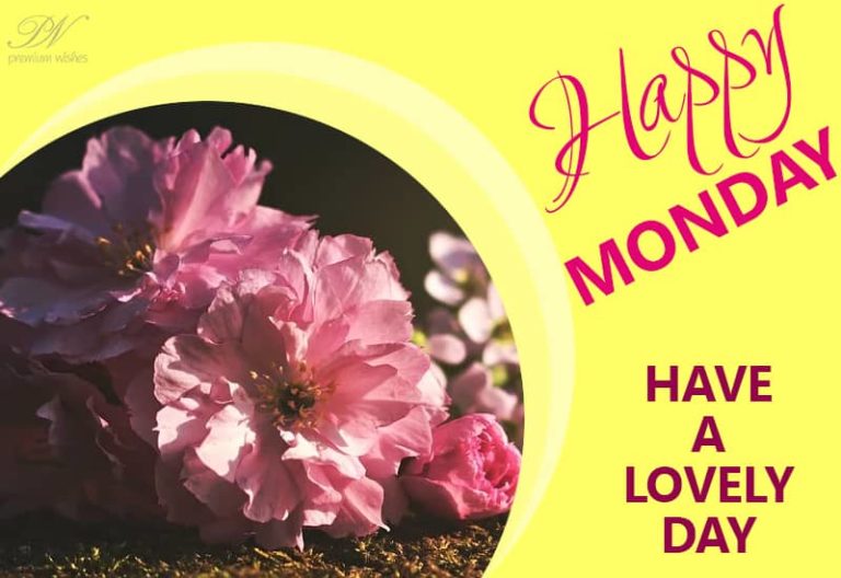 Have a lovely Monday ahead – Stay Safe