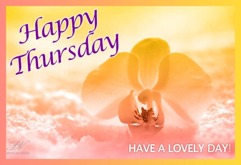 Have a lovely Thursday – Good Morning