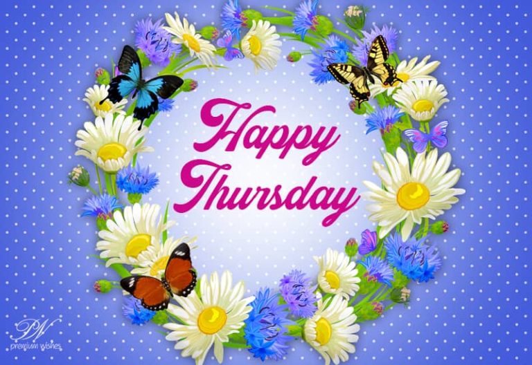 Happy Thursday – Stay Safe