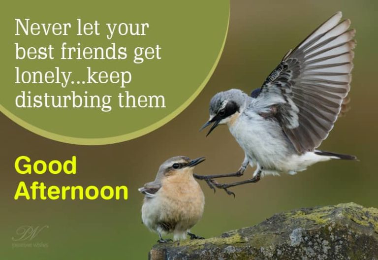 Good Afternoon Wishes