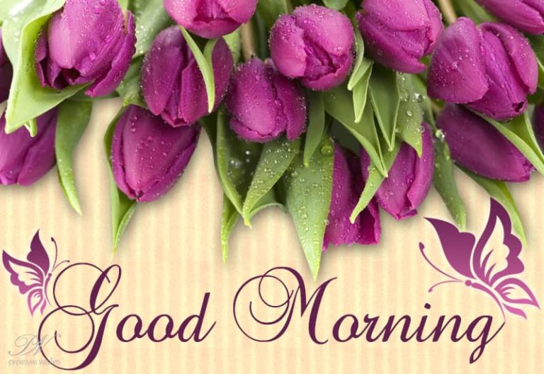 Good Morning Friends – Stay Safe and Stay Healthy