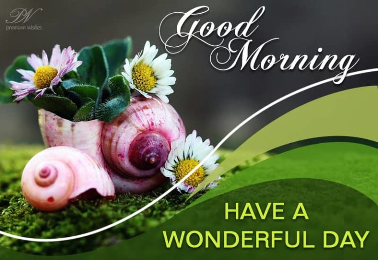 Good Morning – Have a wonderful day and stay home