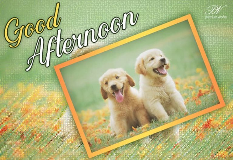 Good Afternoon Wishes