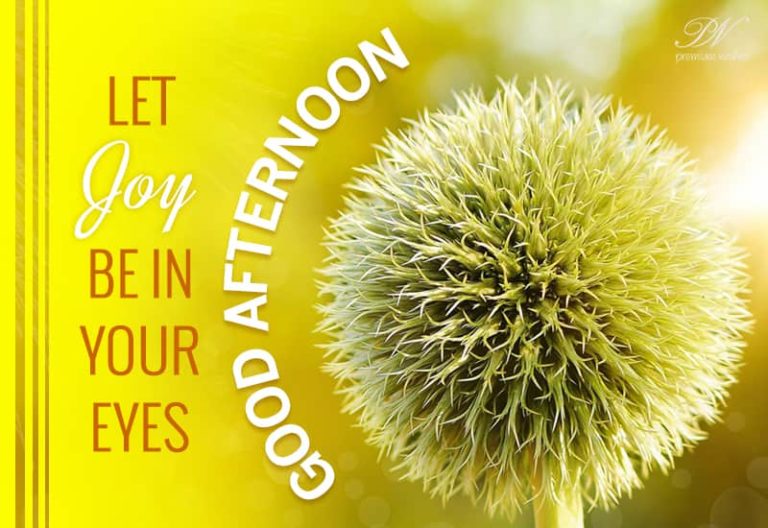 Good Afternoon Wishes