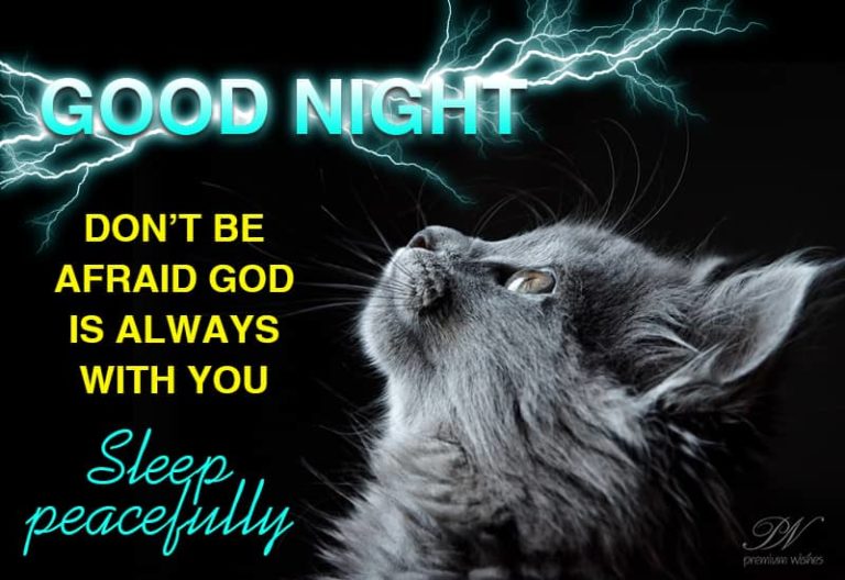 Good Night Wishes
