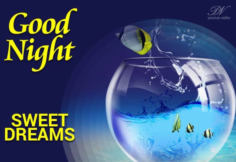Good Night Wishes