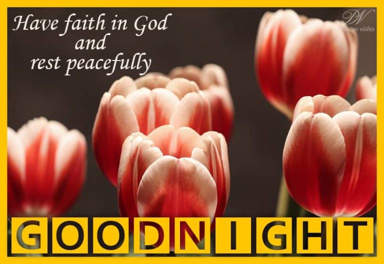 Good Night Wishes
