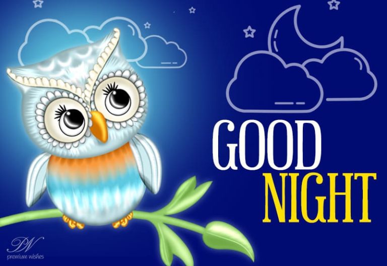 Good Night Wishes