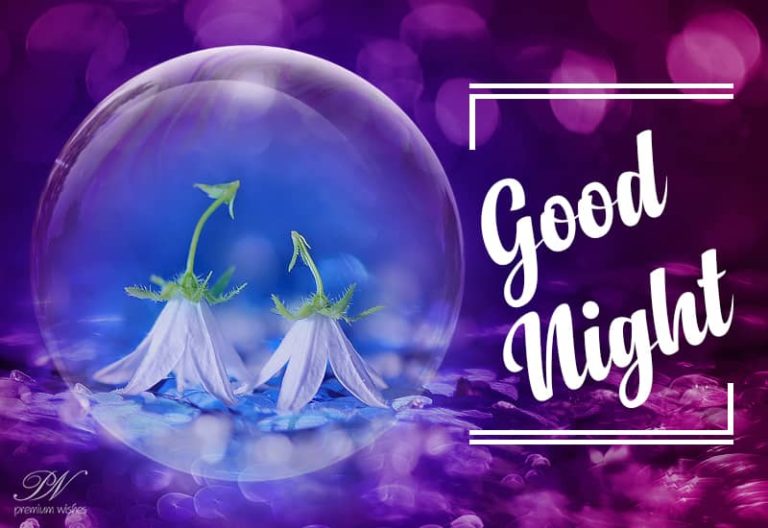 Good Night Wishes