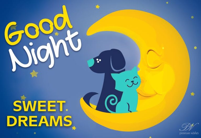 Good Night Wishes