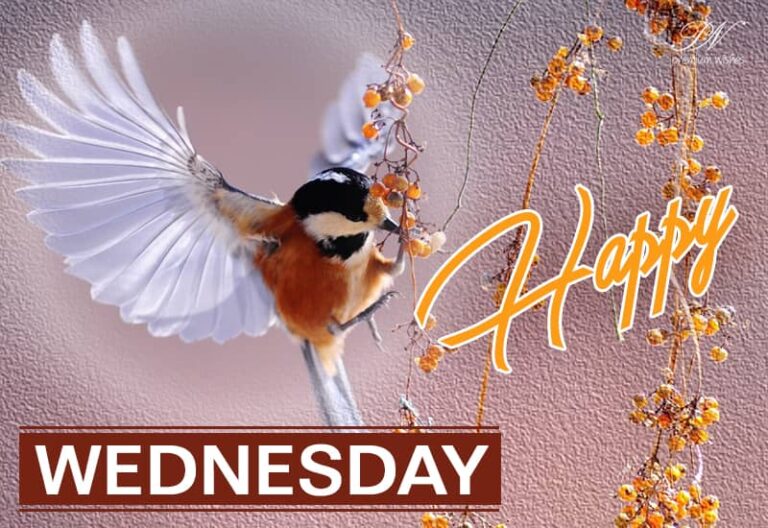 Happy Wednesday – Keep Calm and Enjoy Nature