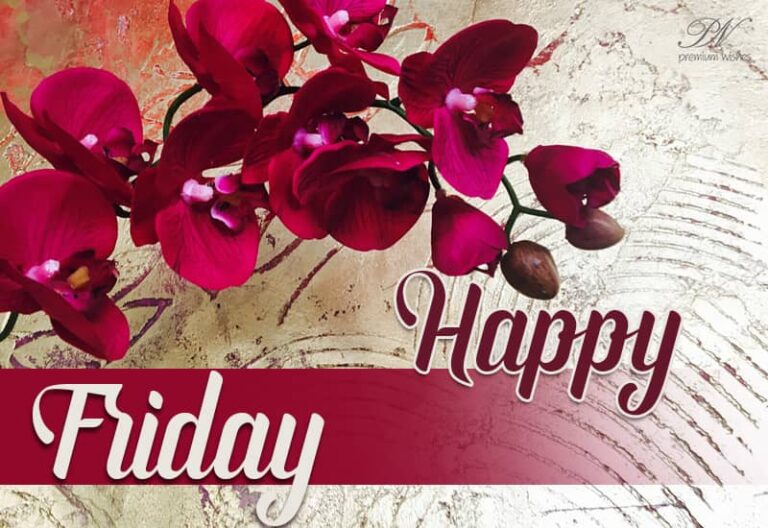 Happy Friday – Welcome the weekend?