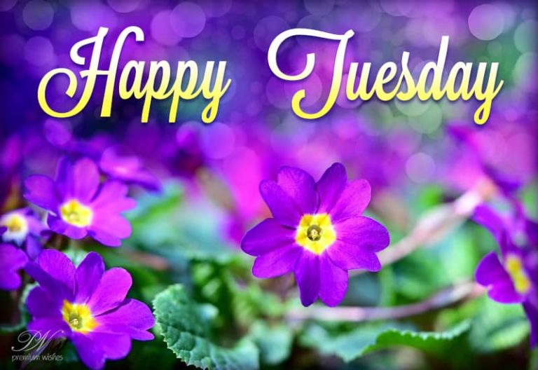 Happy Tuesday – Keep and Stay Safe