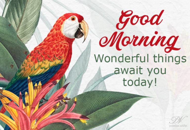 Good Morning – Wonderful things await you today