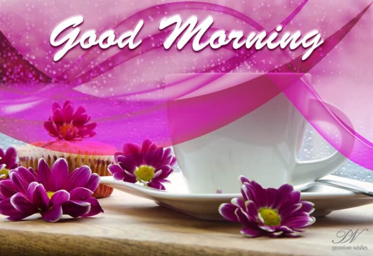 Good Morning – Hope You All Are Staying Safe