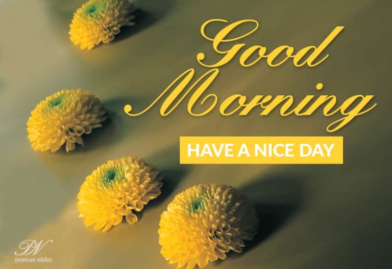 Good Morning Friends – Stay Home – Stay Safe – We will win Good Morning Friends – Stay Home – Stay Safe – We will win