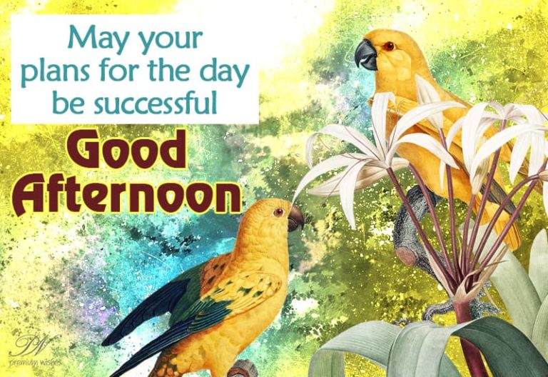 Good Afternoon – May you be successful