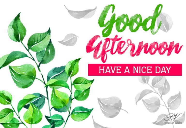 Good Afternoon Wishes