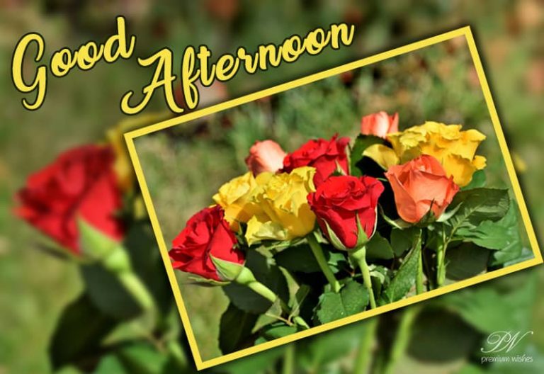 Good Afternoon Wishes
