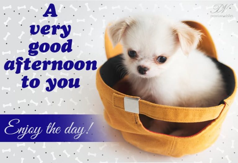 Good Afternoon Wishes