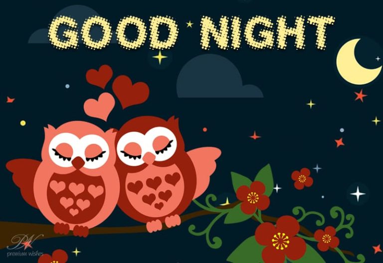 Good Night Wishes