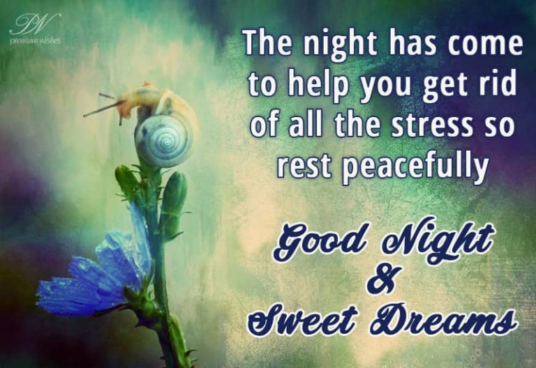 Good Night Wishes