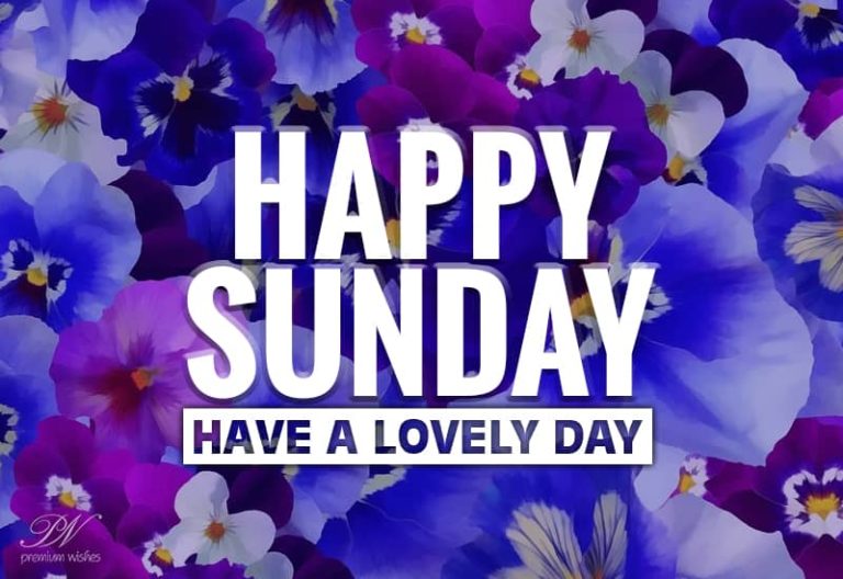 Happy Sunday – Have a lovely and safe day