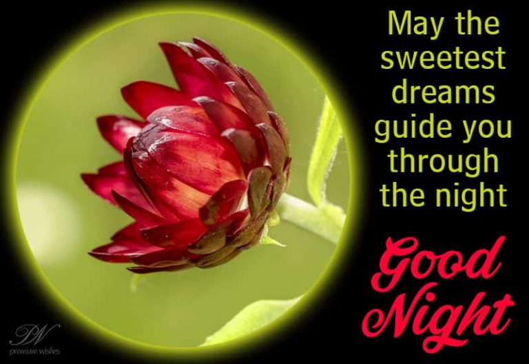 Good Night Wishes