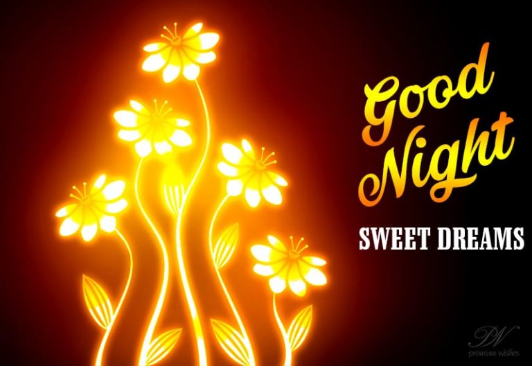 Good Night Wishes