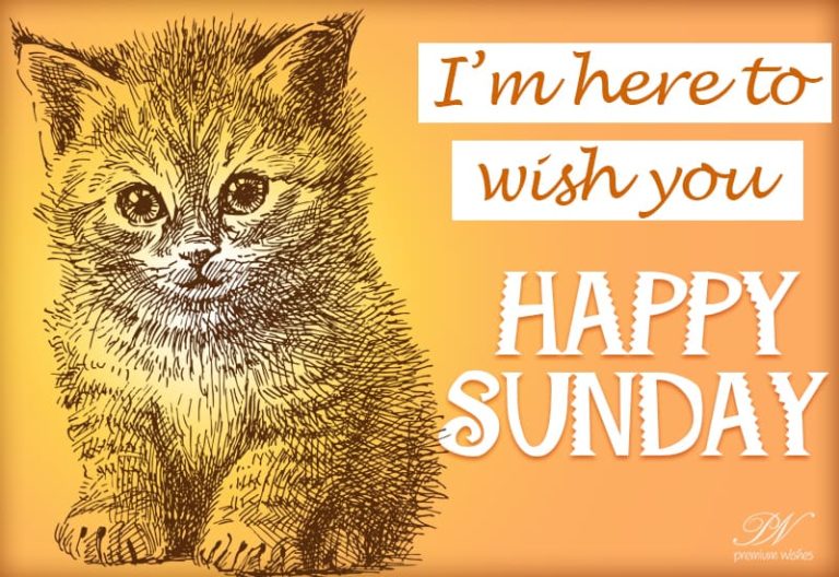 I am here to wish you Happy Sunday