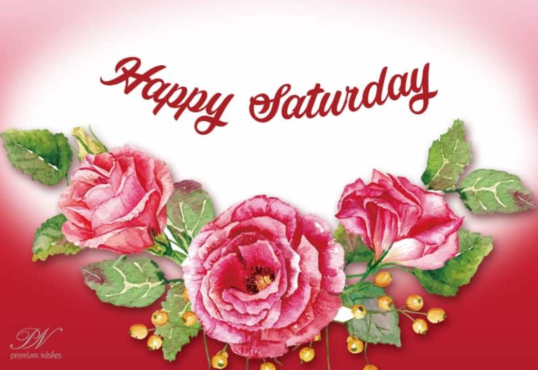 Roses for you this Saturday to lift your spirits