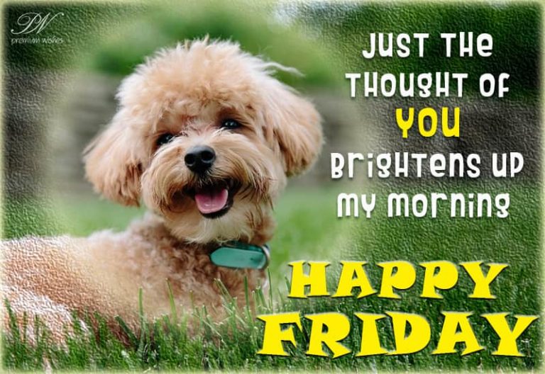 Happy Friday – Thinking of you brightens my day