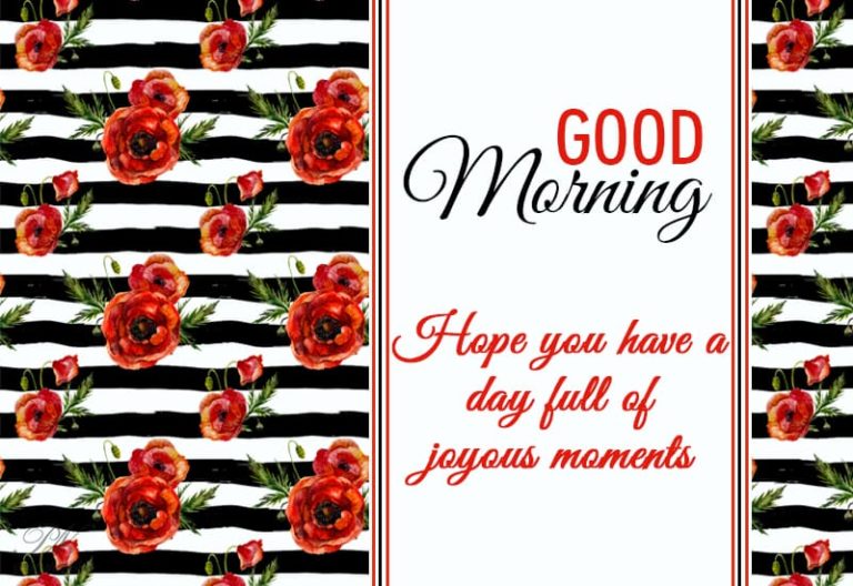 Good Morning – Hope you have a day full of joy