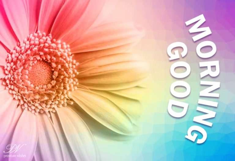 Good Morning – Enjoy The Bright Morning Good Morning – Enjoy The Bright Morning