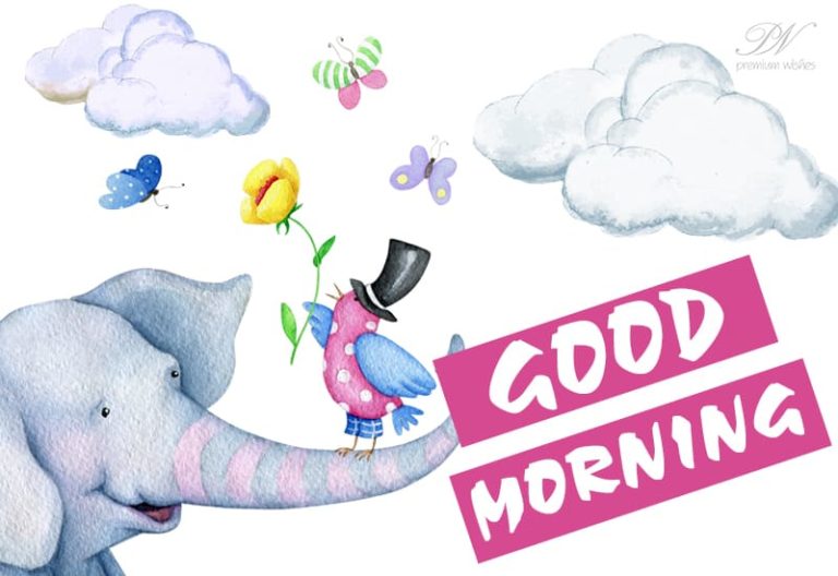 Good Morning Everyone