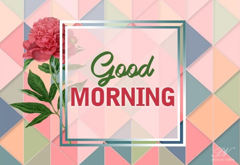 Good Morning – May you have a blessed day