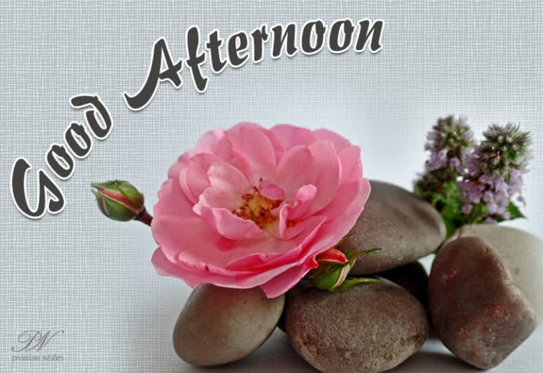 Good Afternoon Wishes