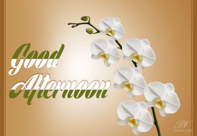 Good Afternoon Wishes